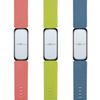 Classic Silicone Fitbit Ace 3 / Inspire 2 Band