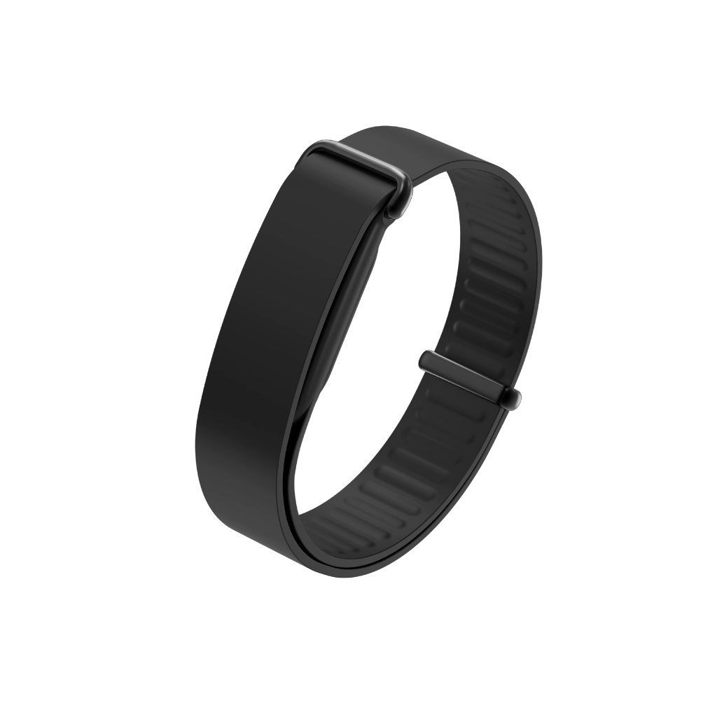 Google Fitbit Air Elevated Modern Bands