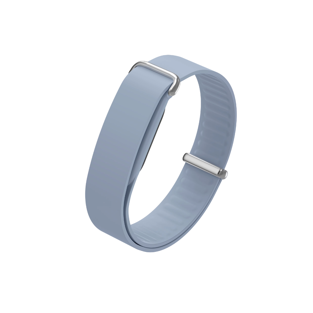 Google Fitbit Air Elevated Modern Bands