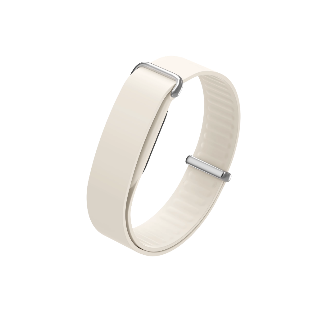 Google Fitbit Air Elevated Modern Bands